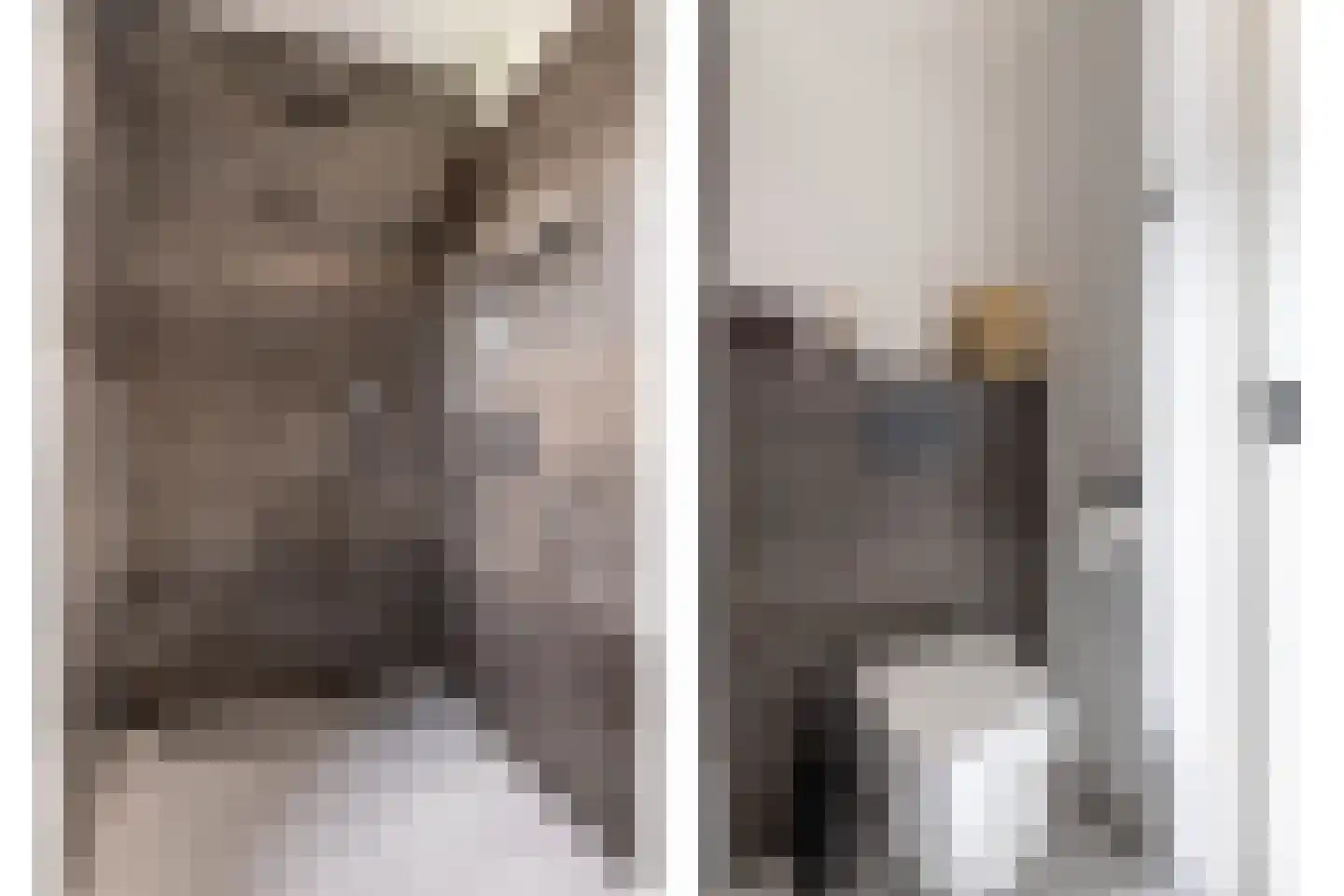 Kattenstaart 11 Berlicum thumbnail 33