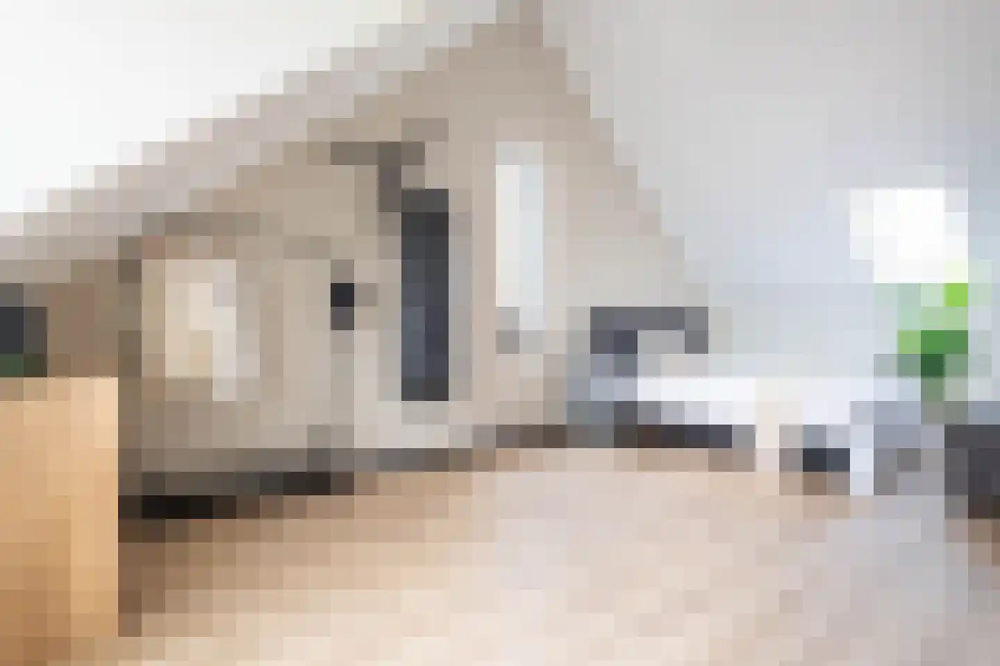 Kattenstaart 11 Berlicum thumbnail 35