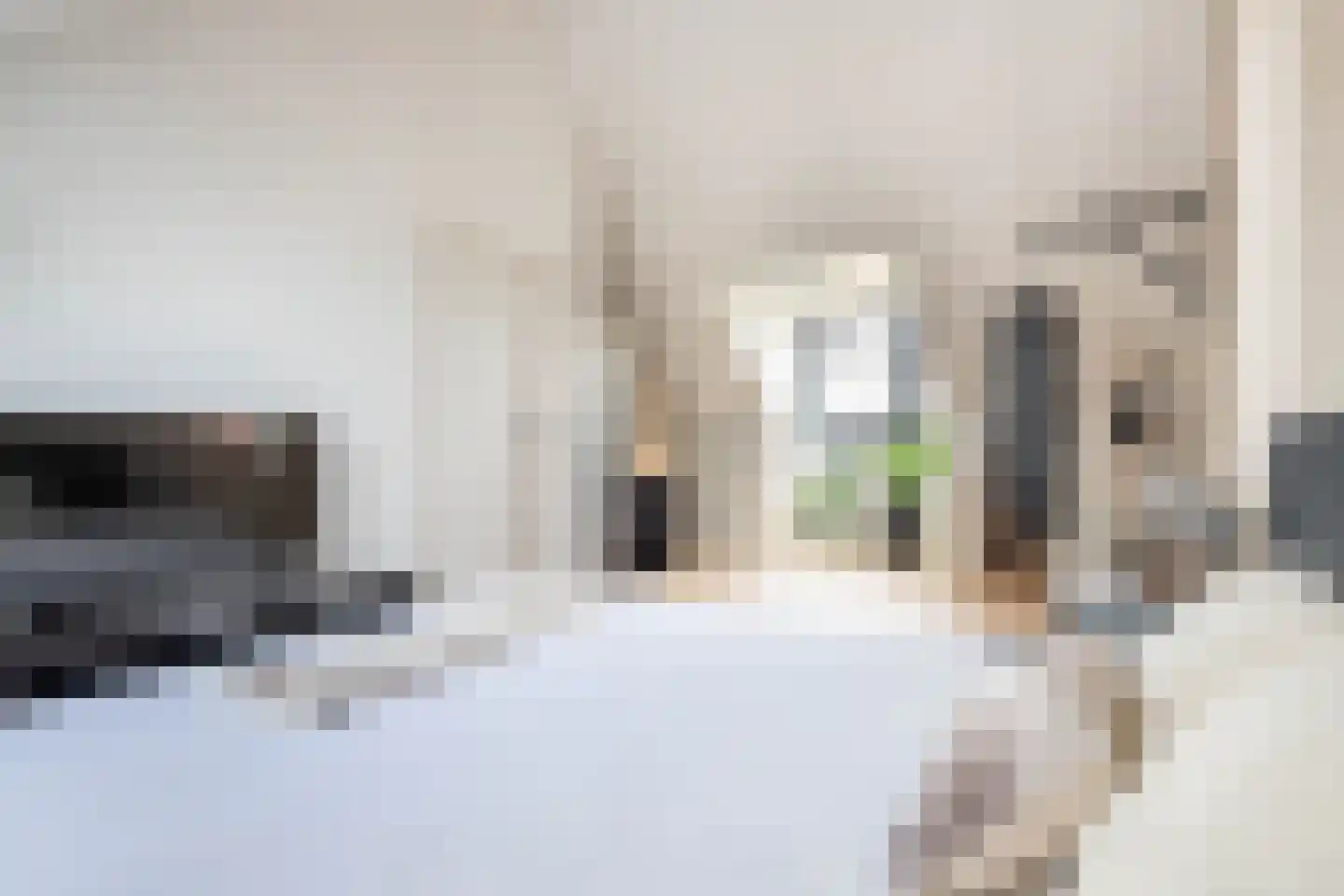 Kattenstaart 11 Berlicum thumbnail 36