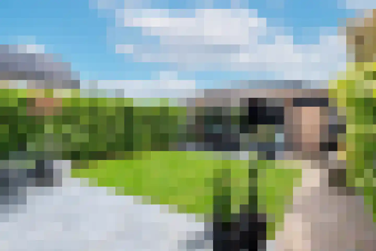 Kattenstaart 11 Berlicum thumbnail 41