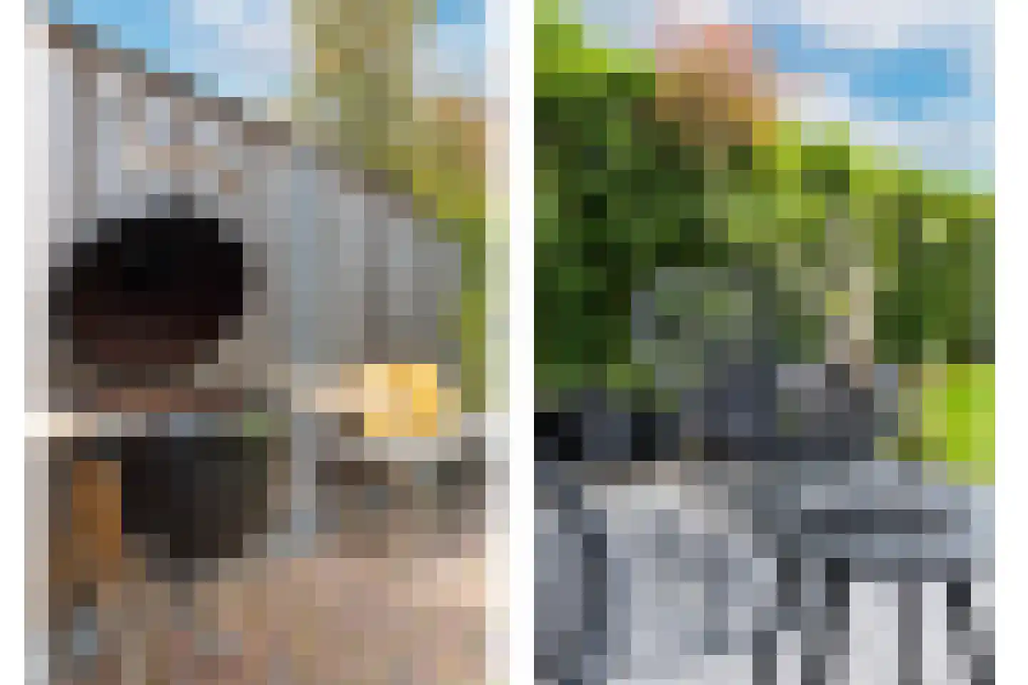 Kattenstaart 11 Berlicum thumbnail 43