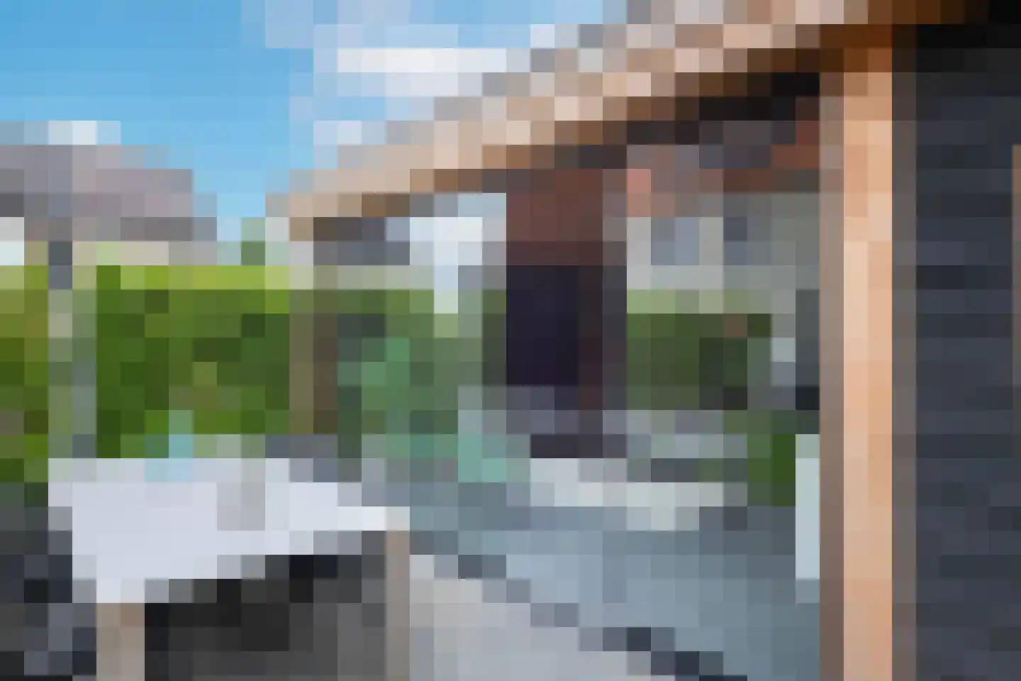 Kattenstaart 11 Berlicum thumbnail 44