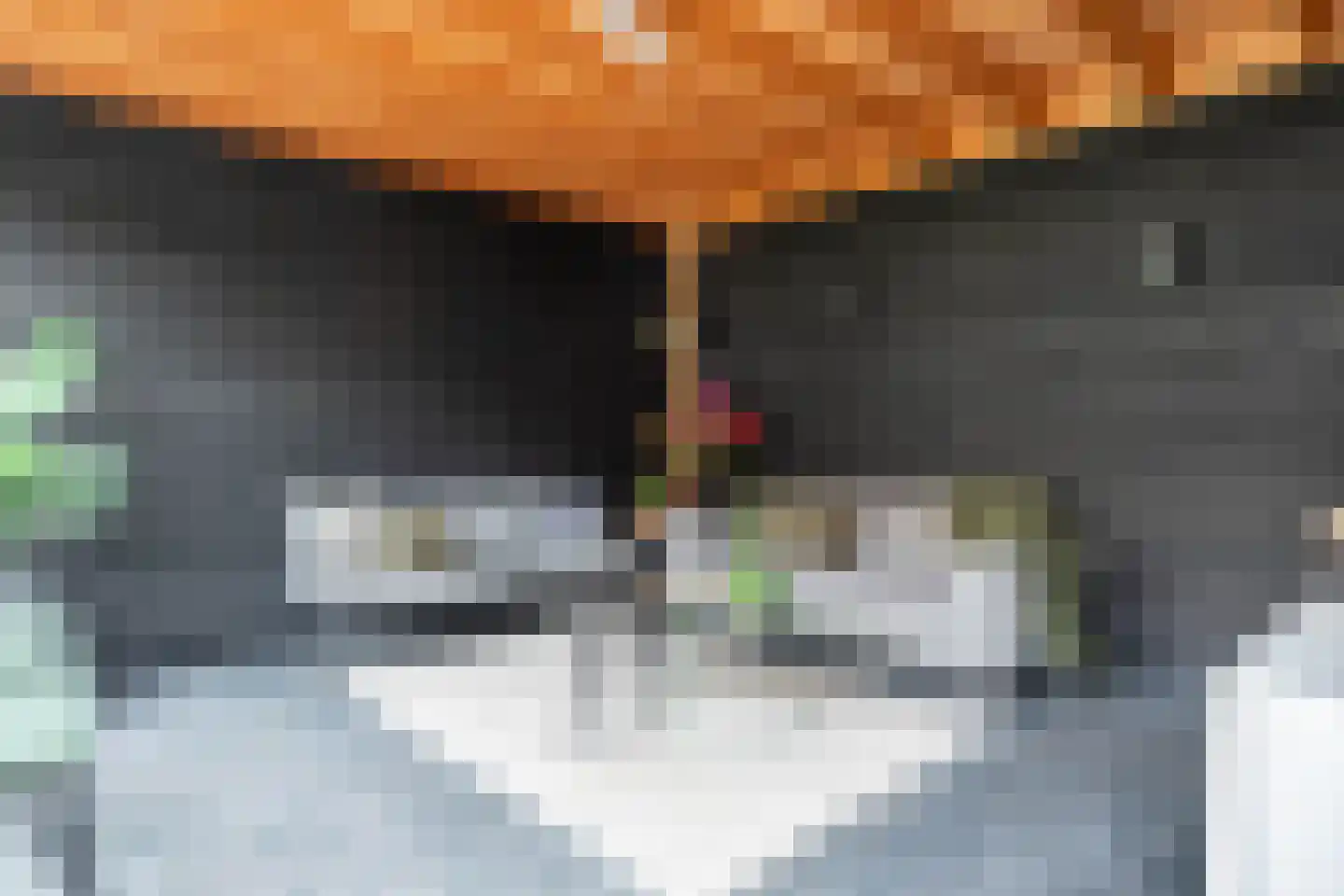 Kattenstaart 11 Berlicum thumbnail 45