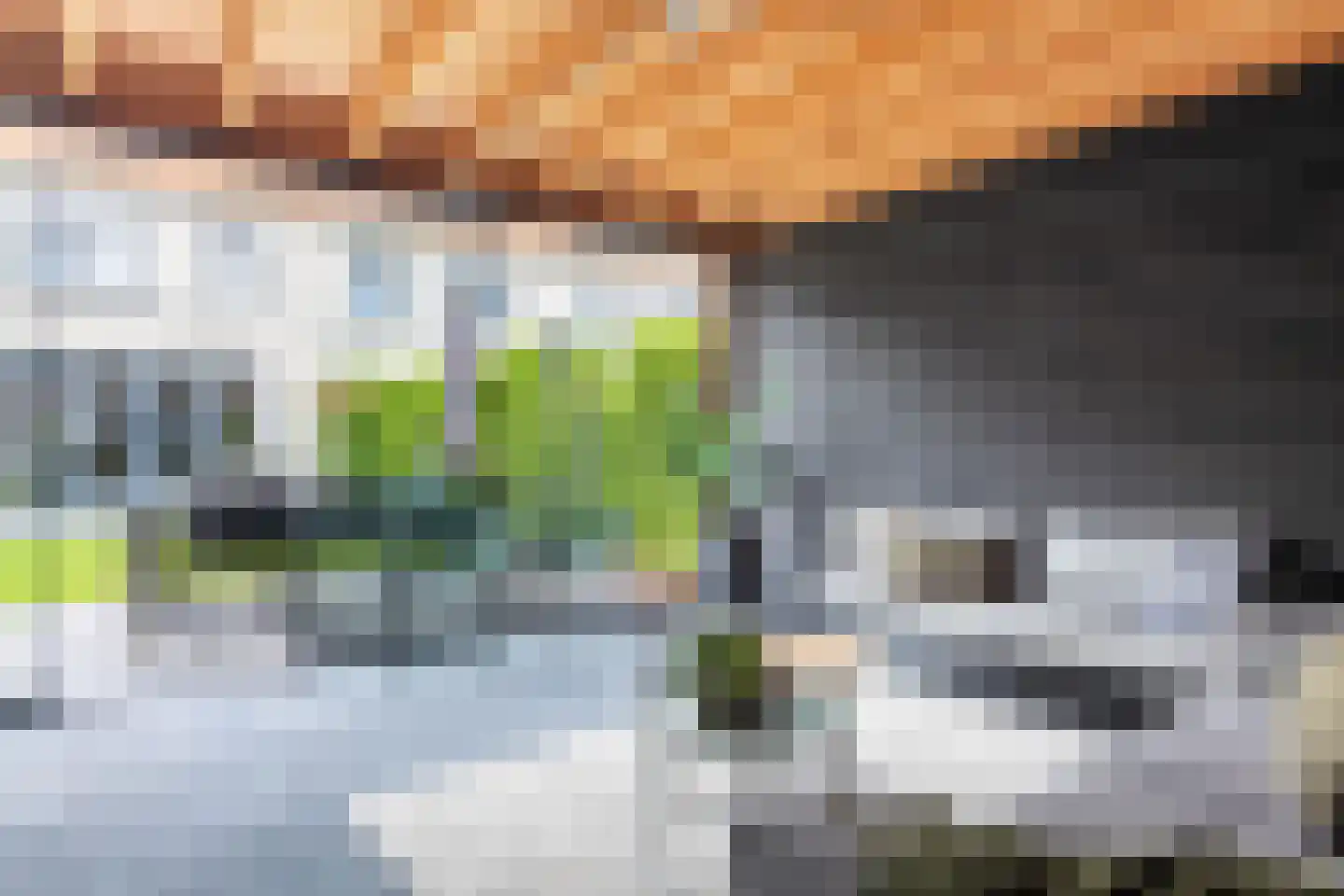 Kattenstaart 11 Berlicum thumbnail 46