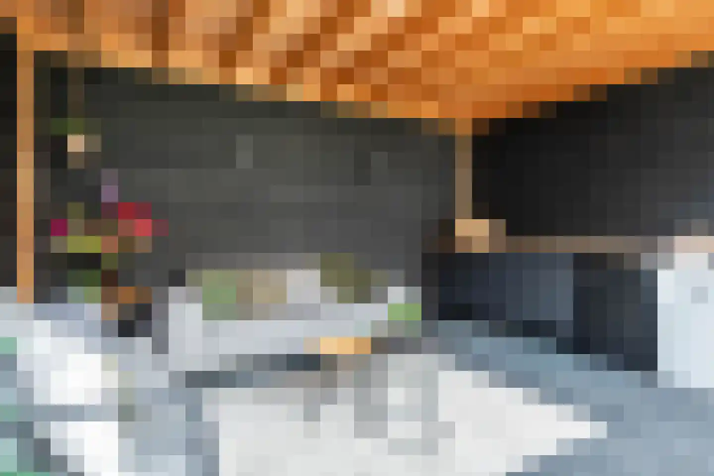 Kattenstaart 11 Berlicum thumbnail 47