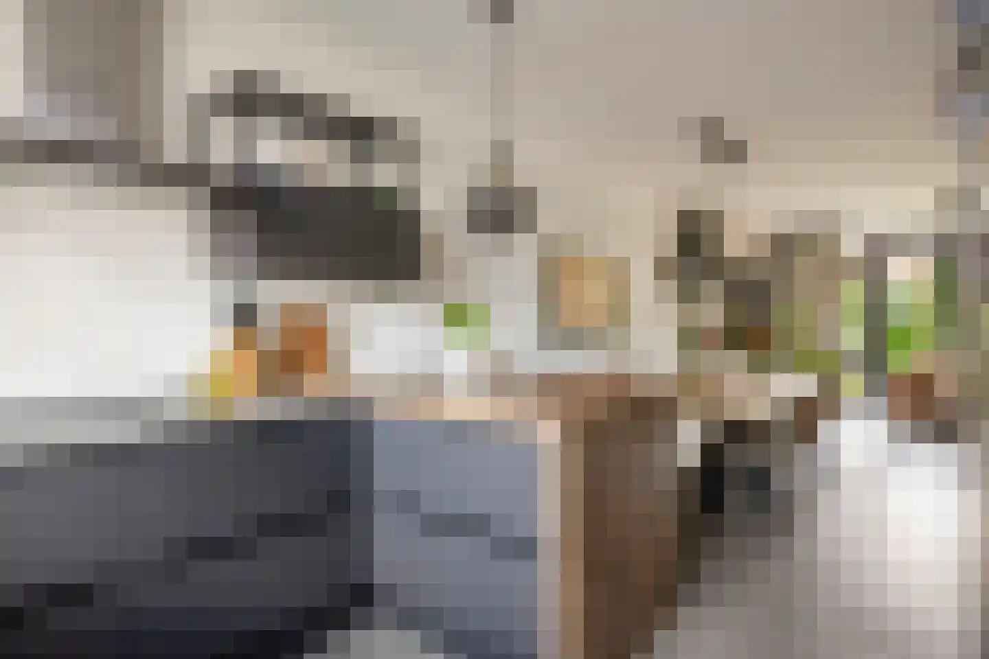 Kattenstaart 18 Berlicum thumbnail 14