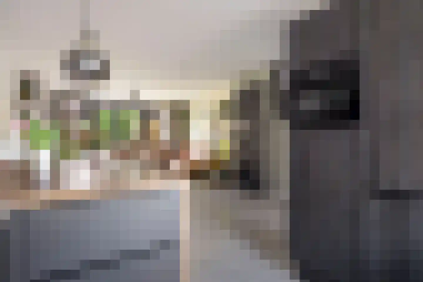 Kattenstaart 18 Berlicum thumbnail 15