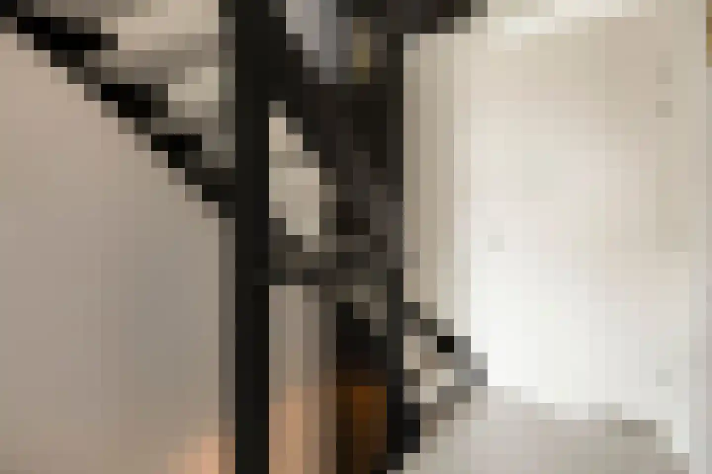 Kattenstaart 18 Berlicum thumbnail 17