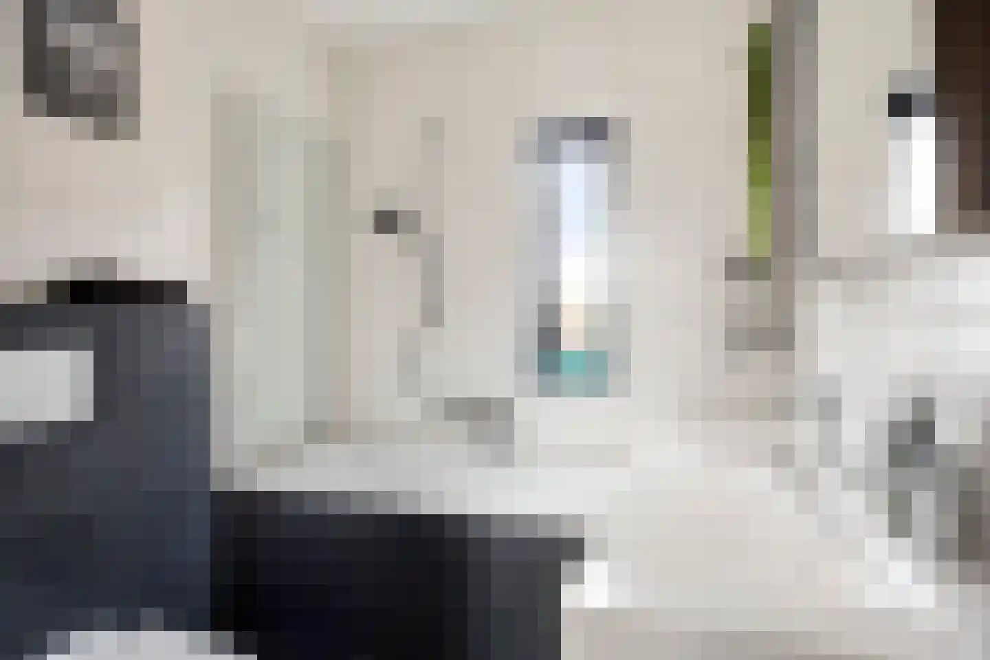 Kattenstaart 18 Berlicum thumbnail 20