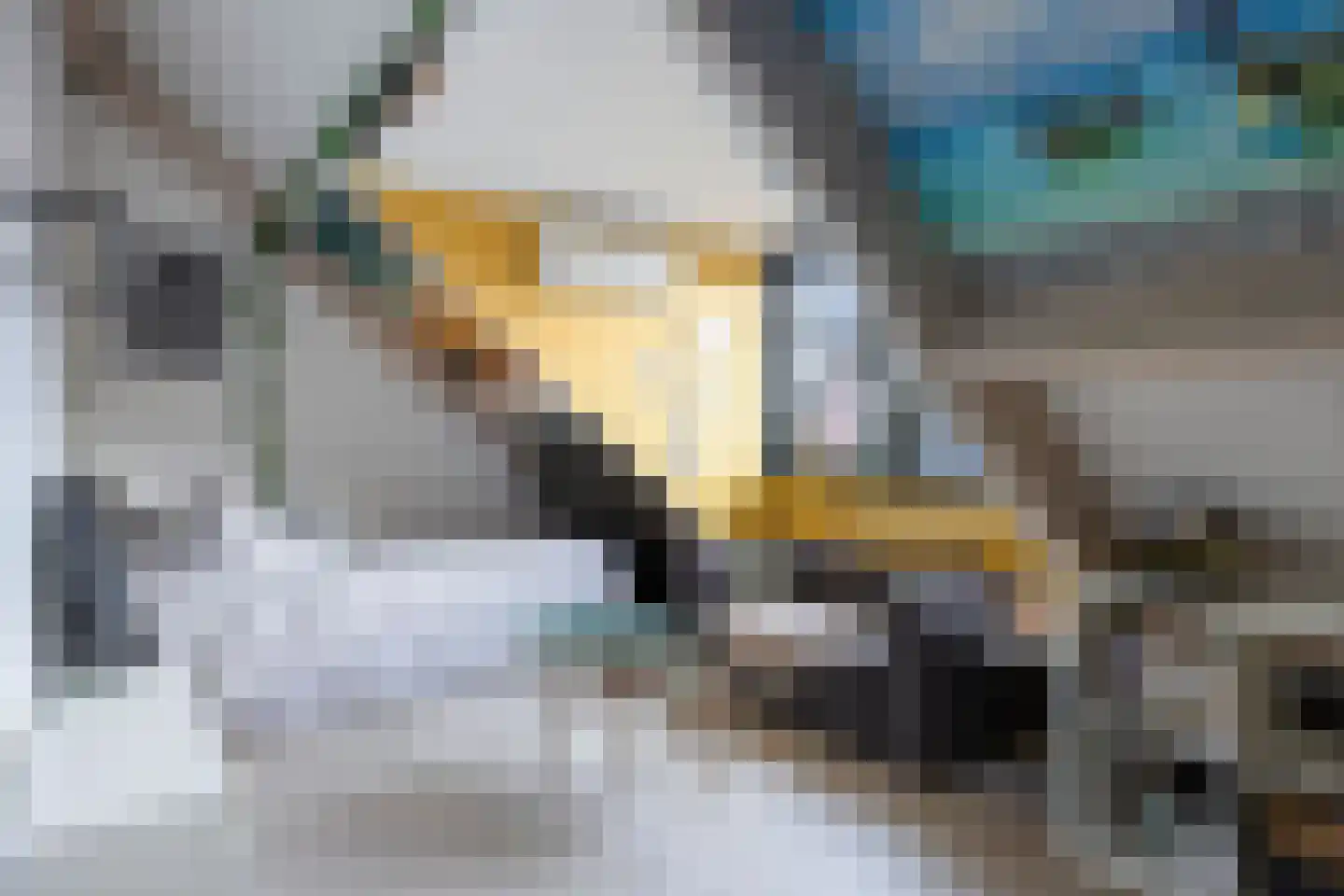 Kattenstaart 18 Berlicum thumbnail 26