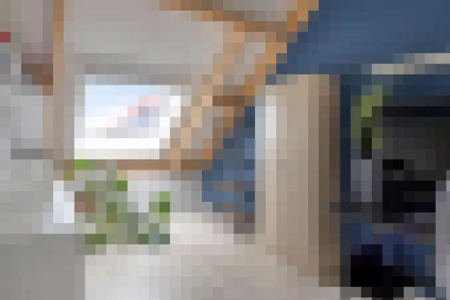 Kattenstaart 18 Berlicum thumbnail 28