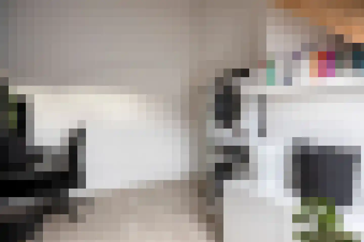 Kattenstaart 18 Berlicum thumbnail 29