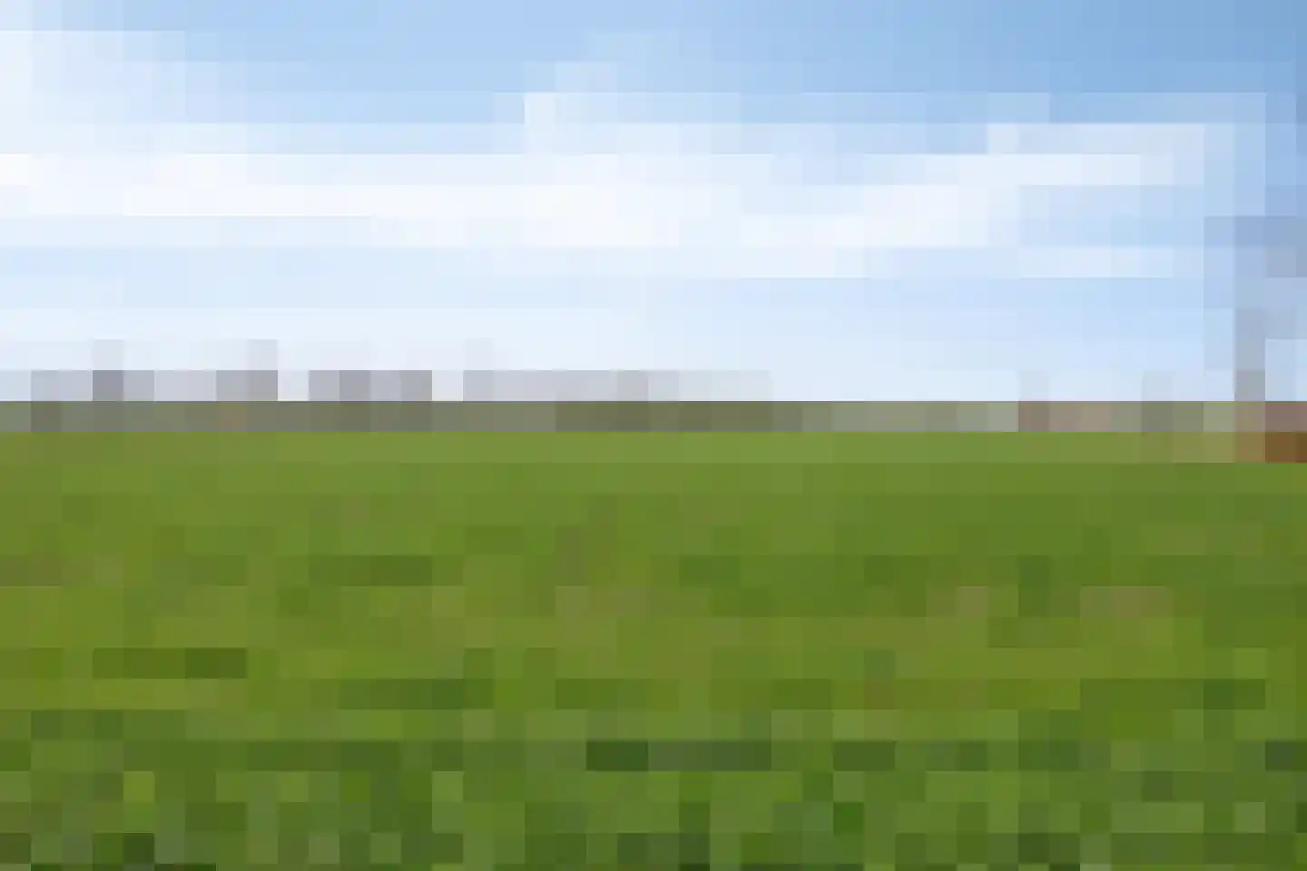 Kattenstaart 18 Berlicum thumbnail 33