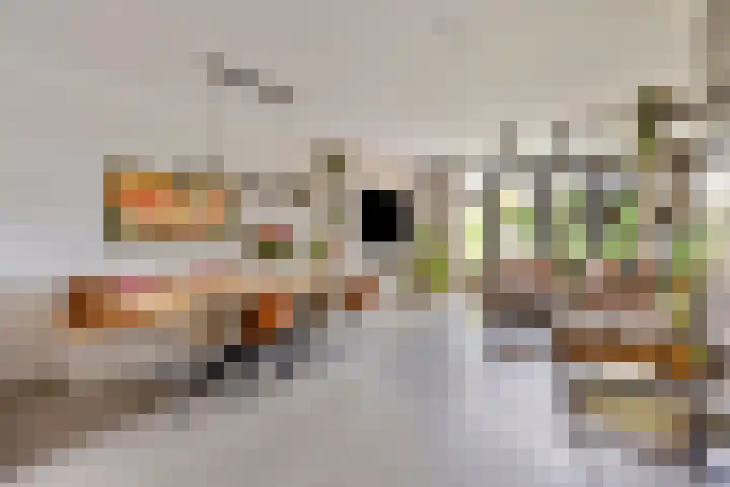 Kattenstaart 18 Berlicum thumbnail 5