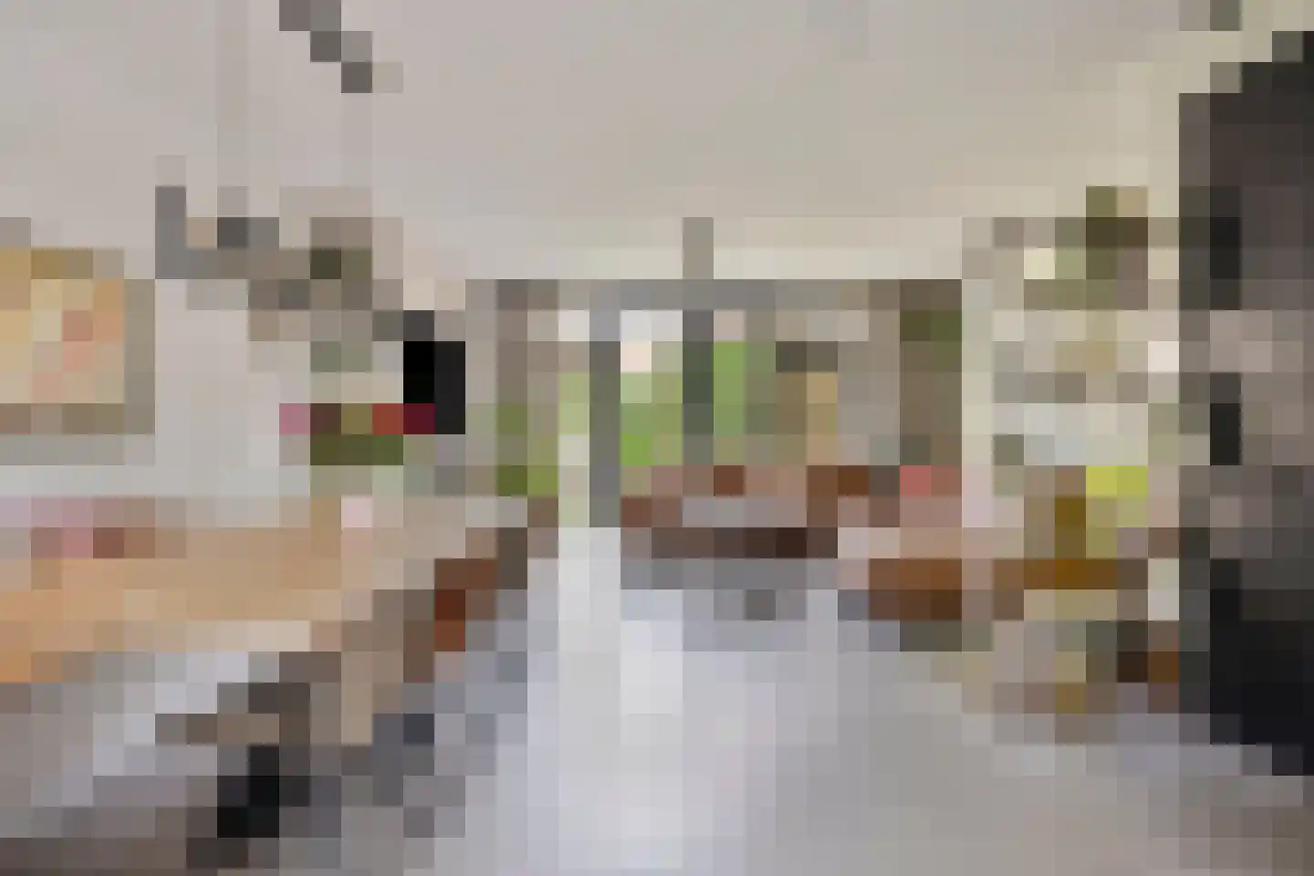 Kattenstaart 18 Berlicum thumbnail 6