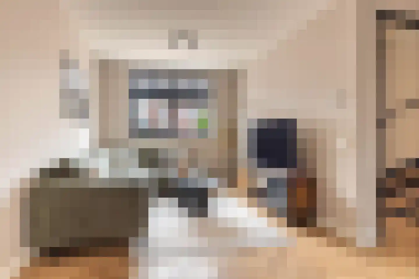 Kattenstaart 4 Berlicum thumbnail 10