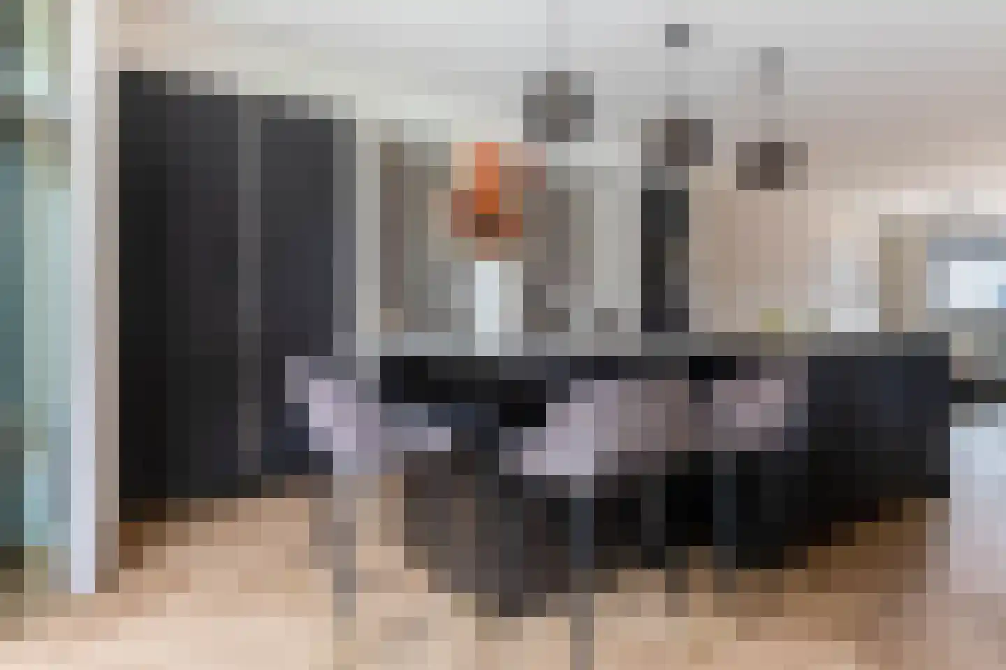 Kattenstaart 4 Berlicum thumbnail 15