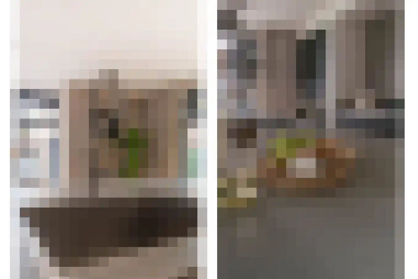 Kattenstaart 4 Berlicum thumbnail 17