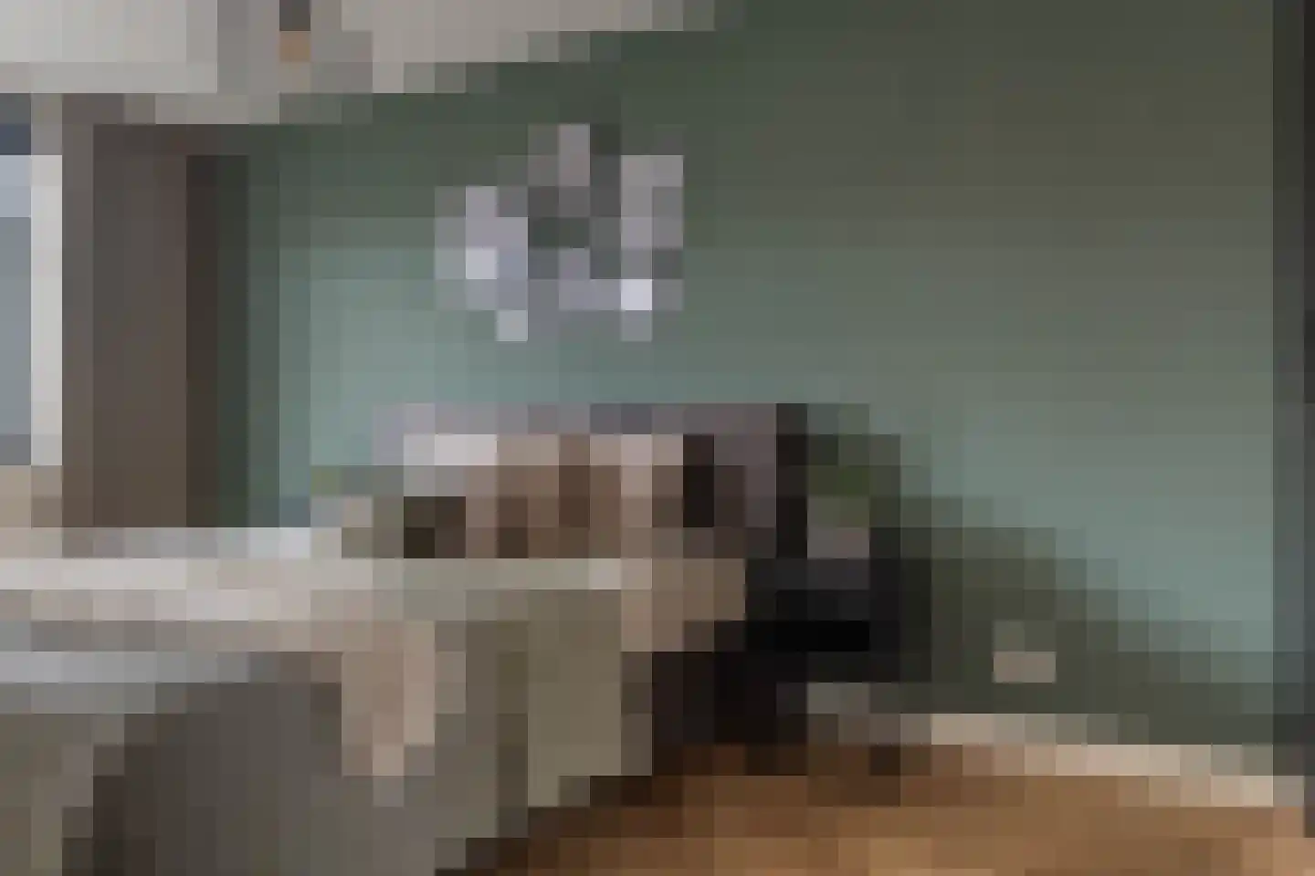 Kattenstaart 4 Berlicum thumbnail 19