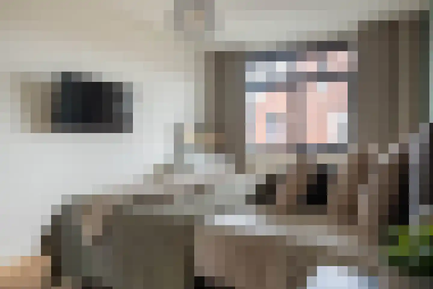 Kattenstaart 4 Berlicum thumbnail 21