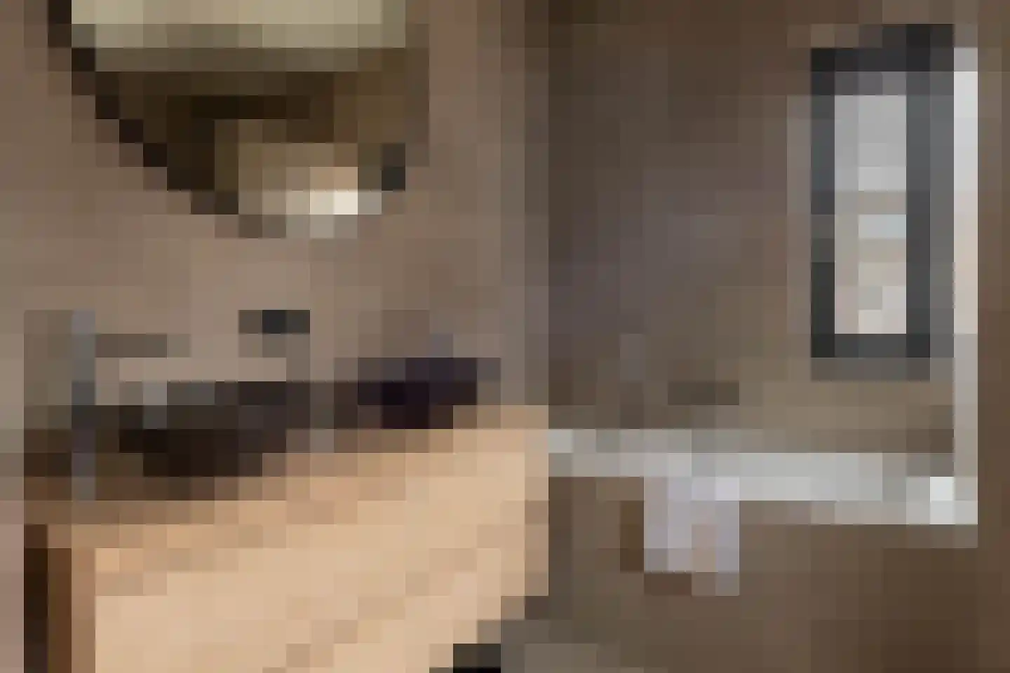 Kattenstaart 4 Berlicum thumbnail 28