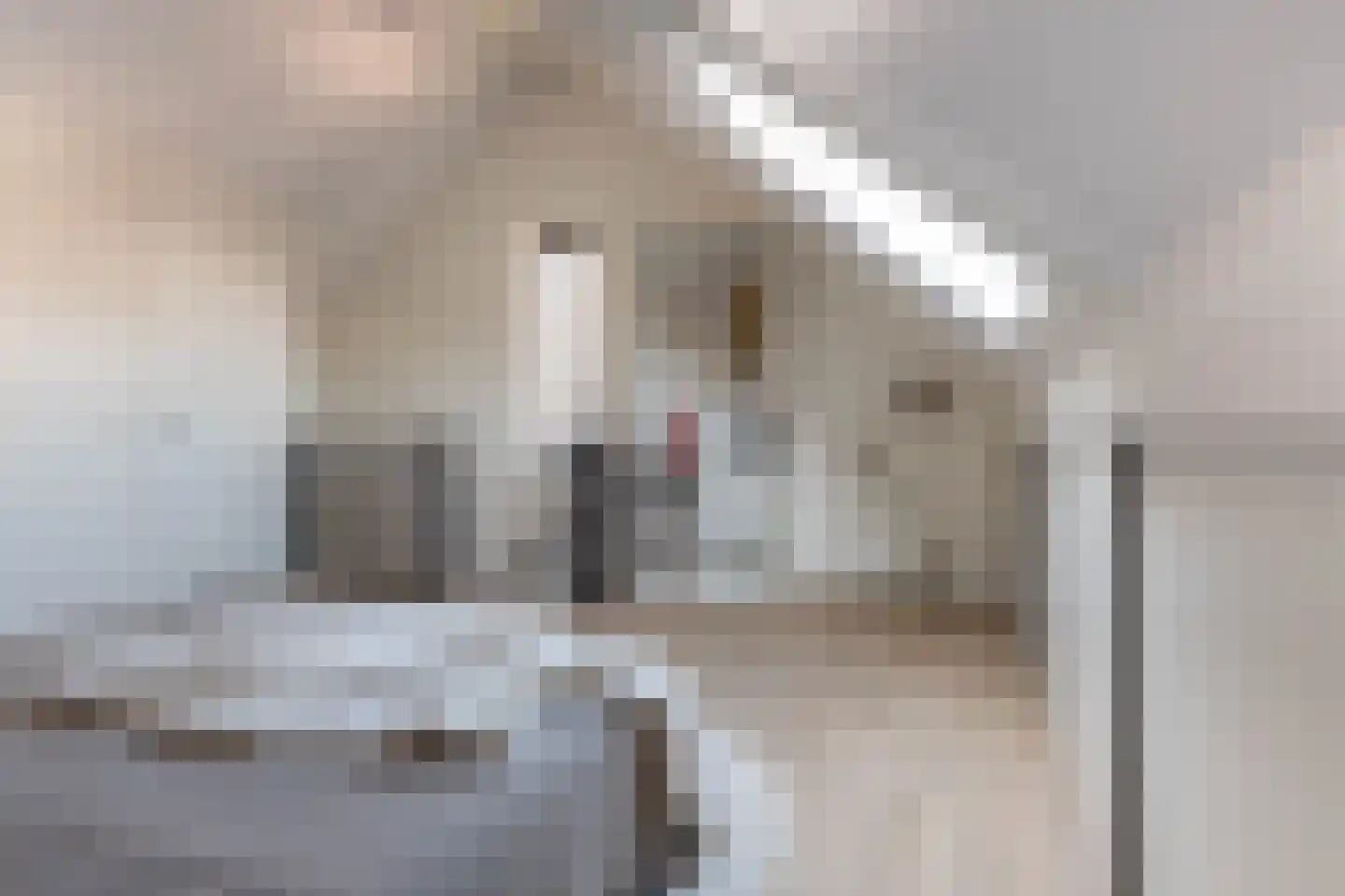 Kattenstaart 4 Berlicum thumbnail 32