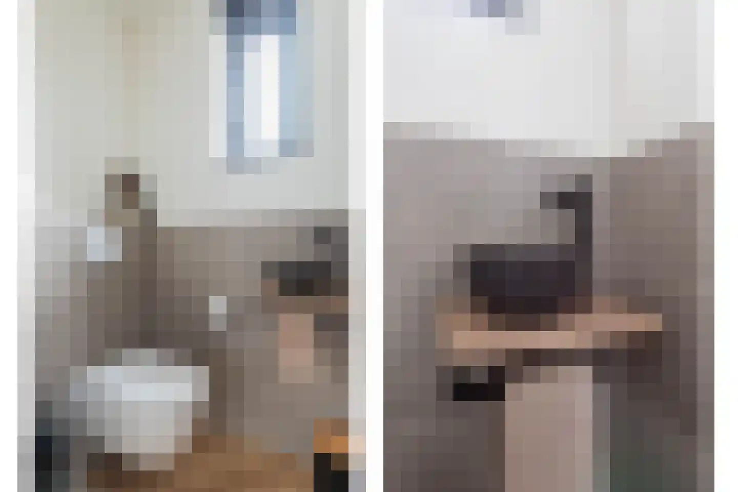 Kattenstaart 4 Berlicum thumbnail 5