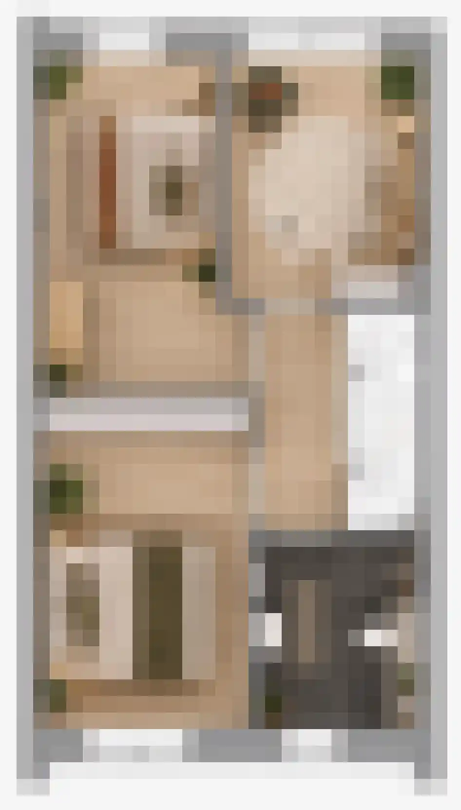 Kattenstaart 8 't Veld thumbnail 10