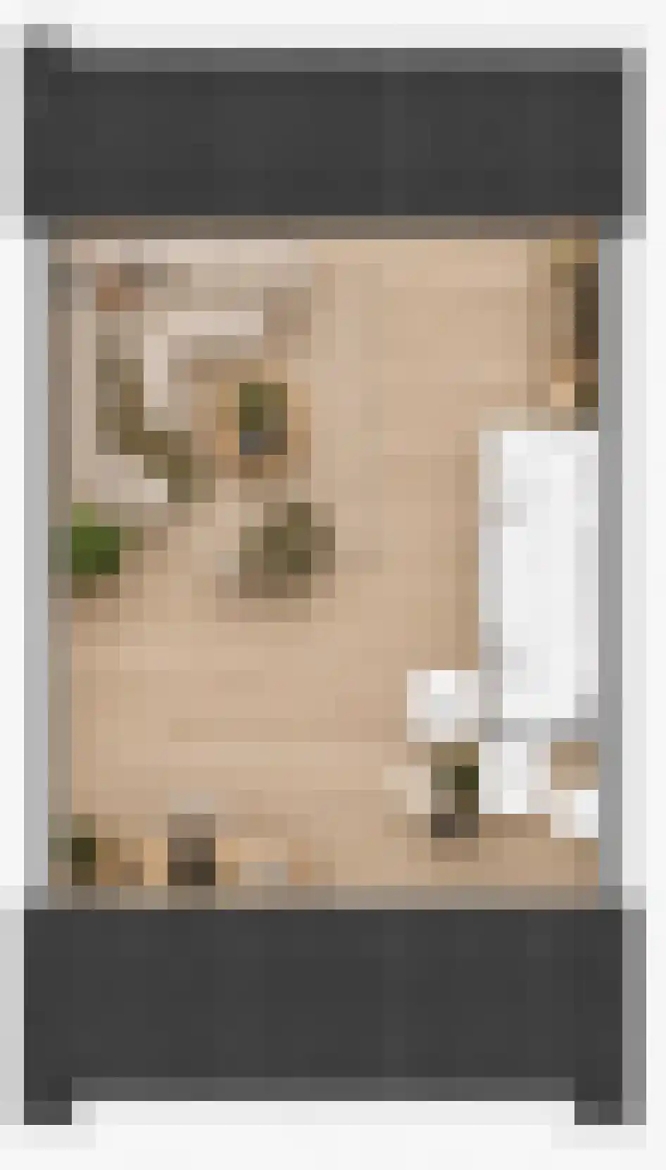 Kattenstaart 8 't Veld thumbnail 11