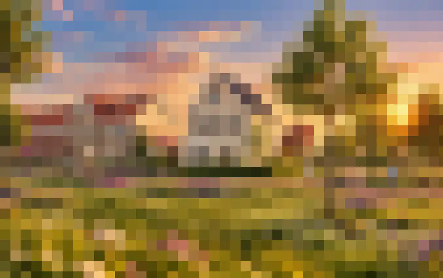 Kattenstaart 8 't Veld foto 3