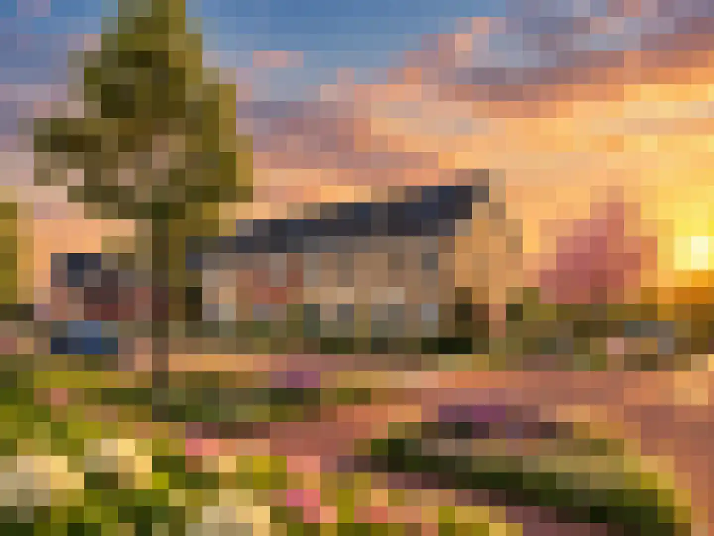 Kattenstaart 8 't Veld thumbnail 4