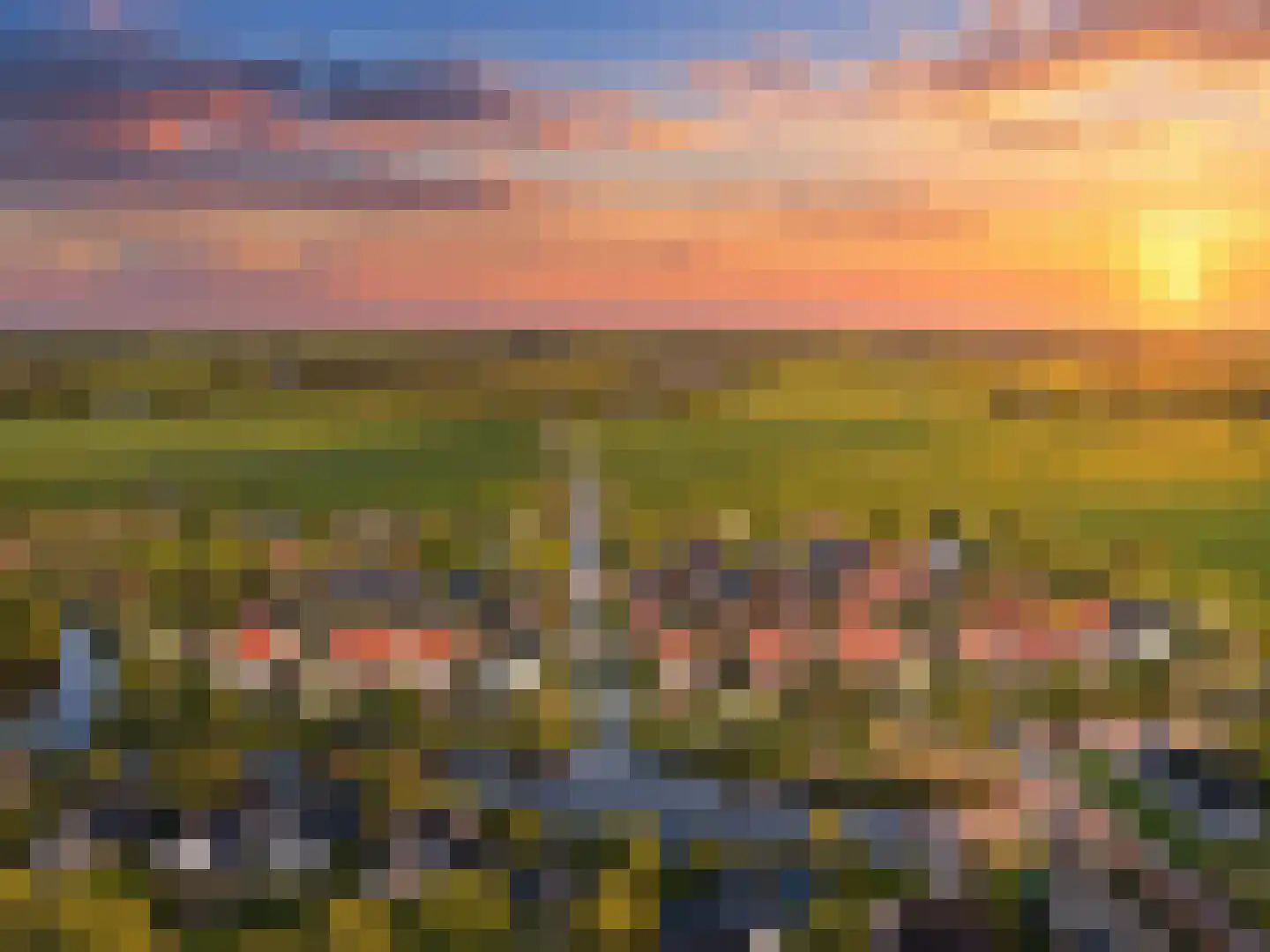 Kattenstaart 8 't Veld thumbnail 5