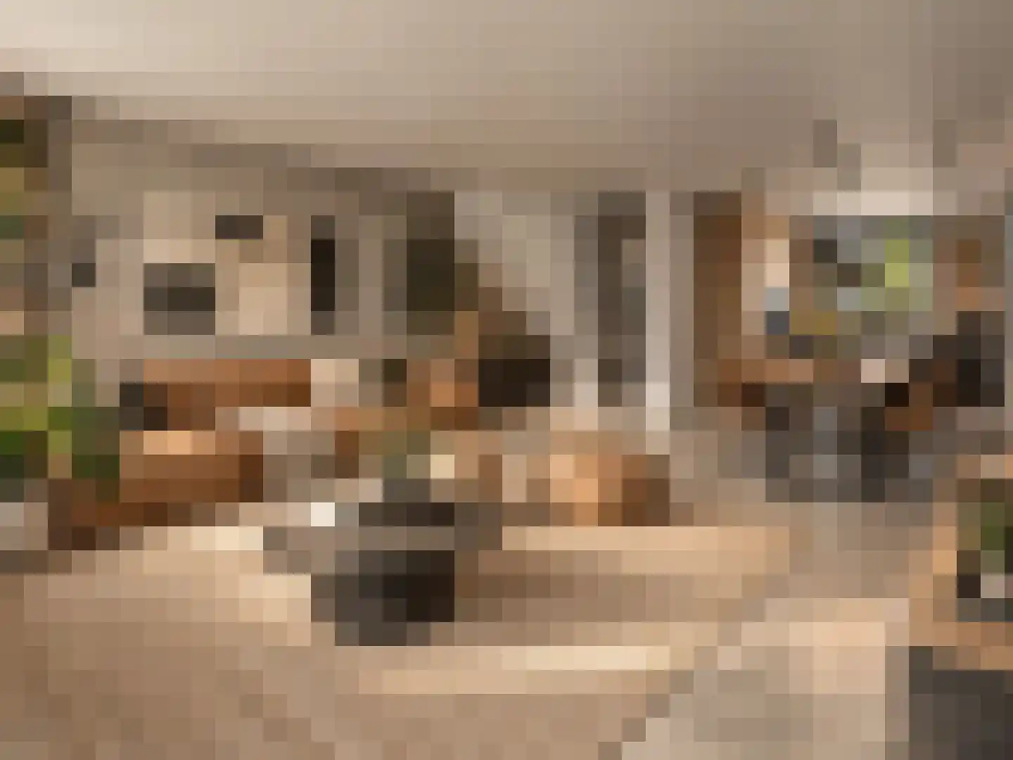 Kattenstaart 8 't Veld thumbnail 6