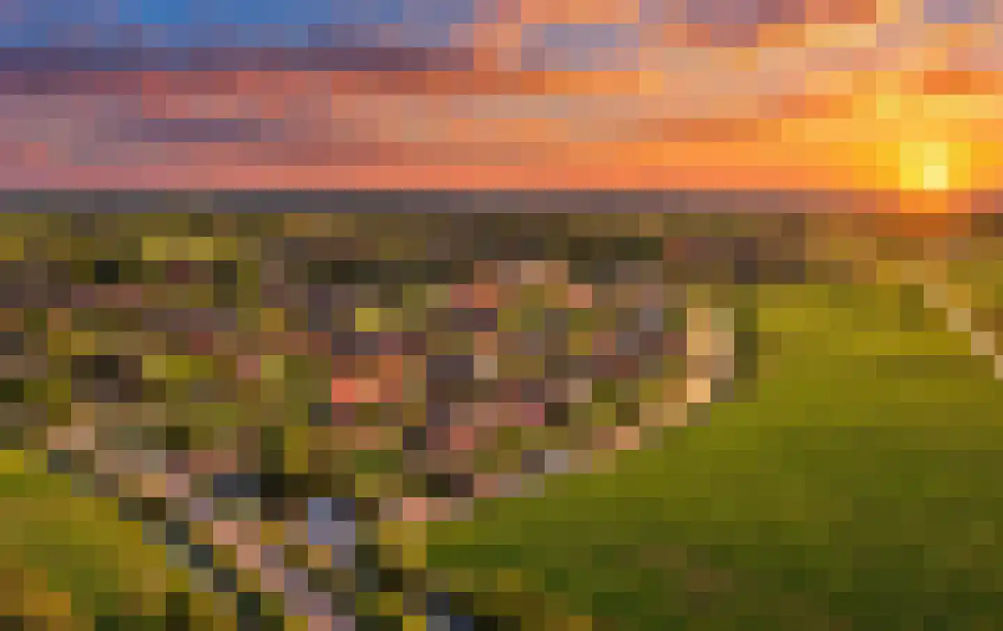 Kattenstaart 8 't Veld thumbnail 8