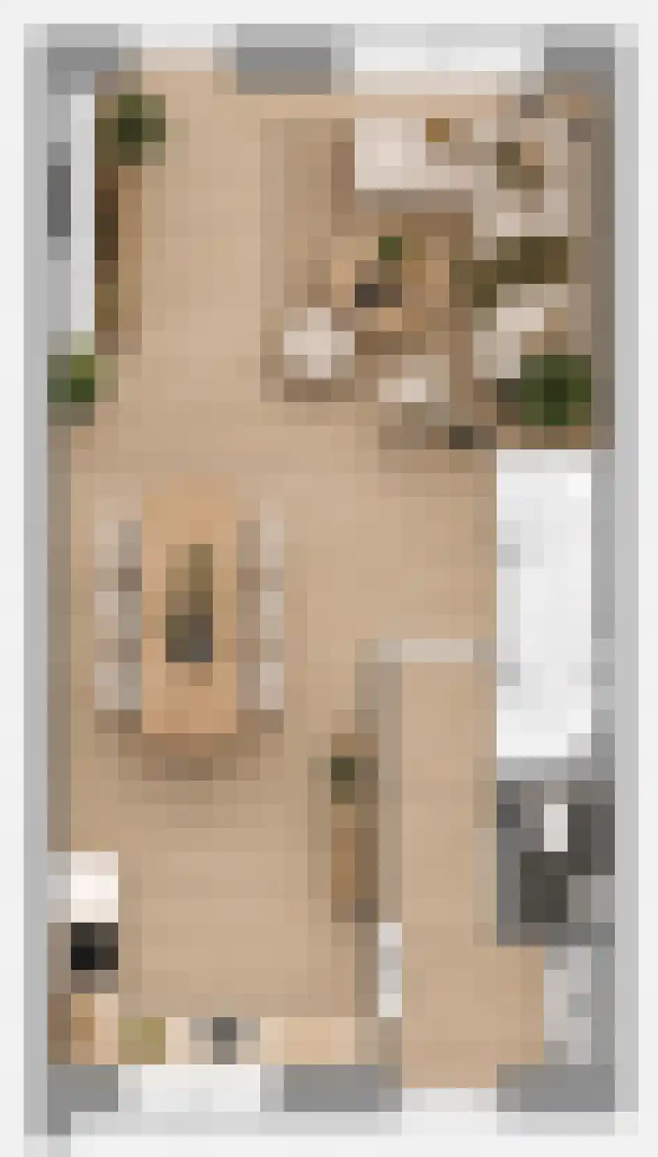 Kattenstaart 8 't Veld thumbnail 9