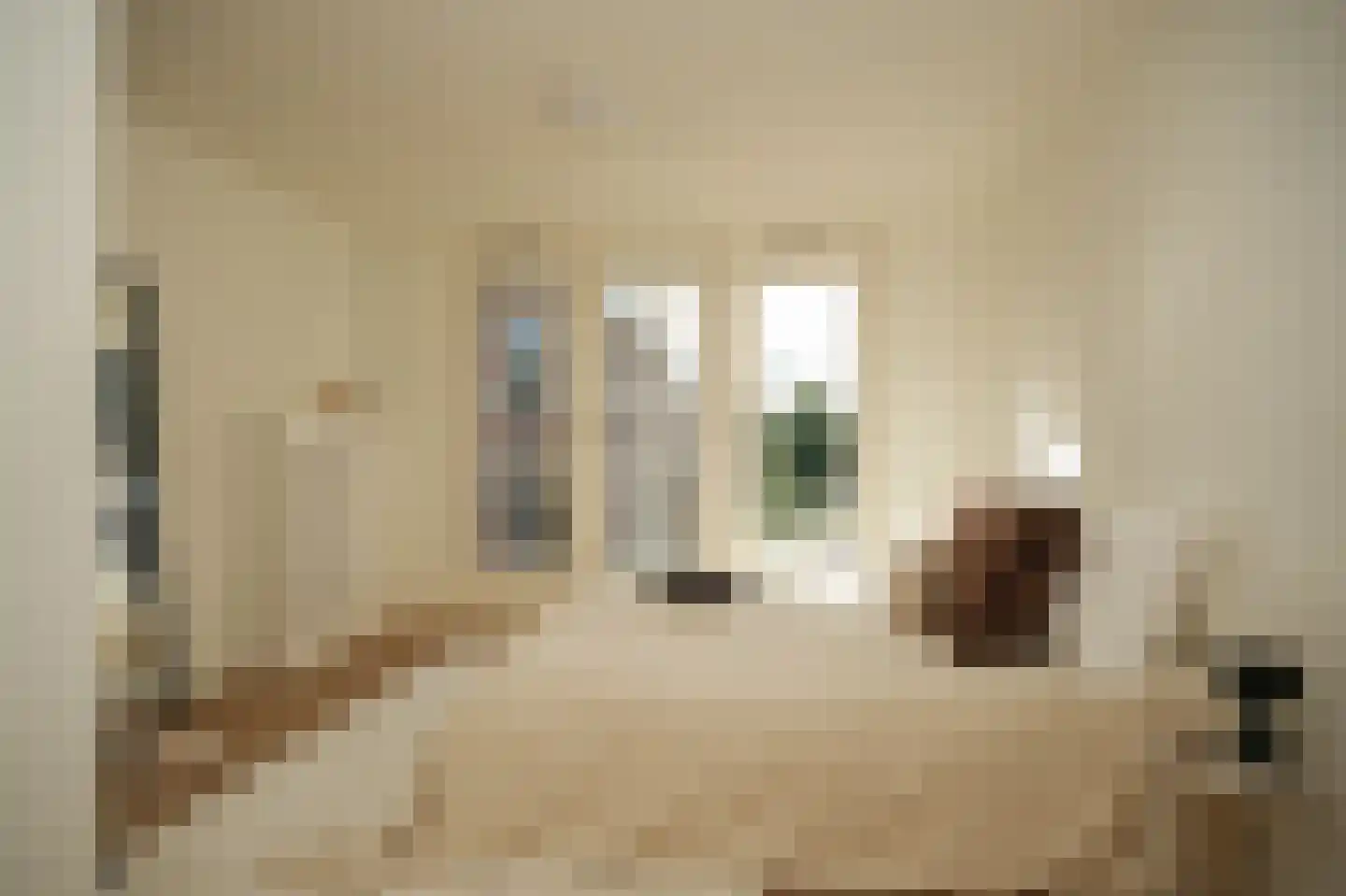 Kattenstraat 15 Culemborg thumbnail 30