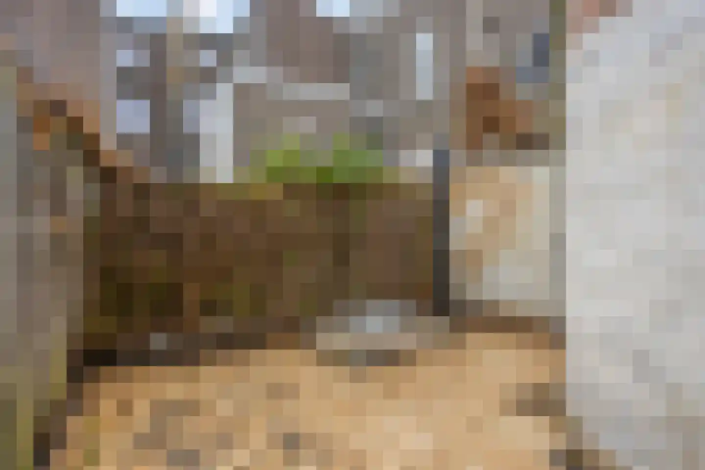 Kattenstraat 4 Maastricht thumbnail 17