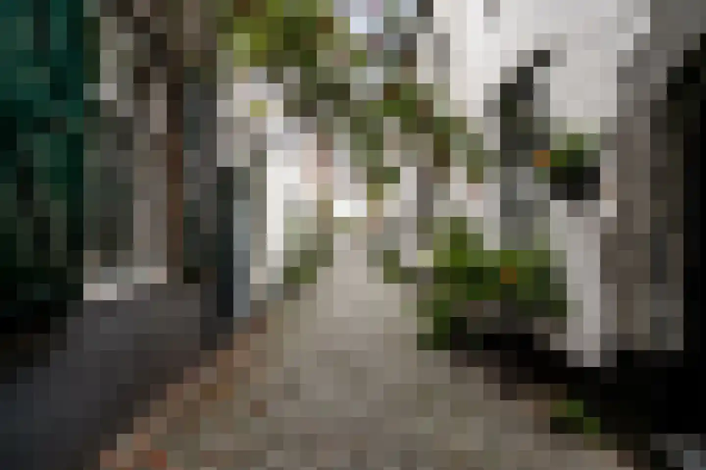 Kattenstraat 6 Maastricht thumbnail 30