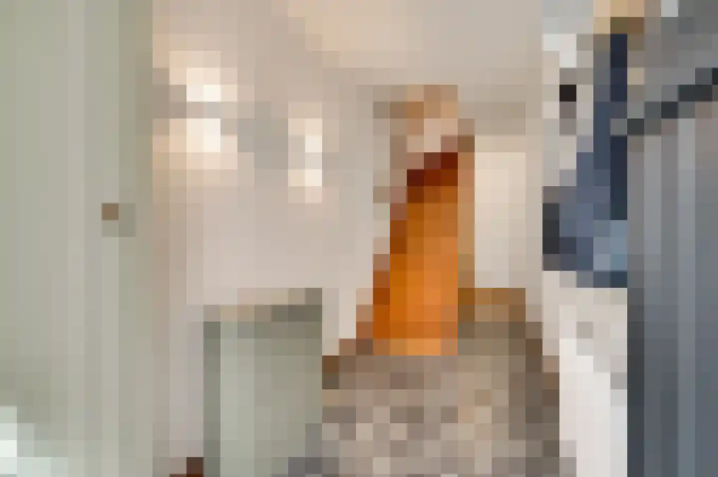 Kattenstraat 6 Maastricht thumbnail 5