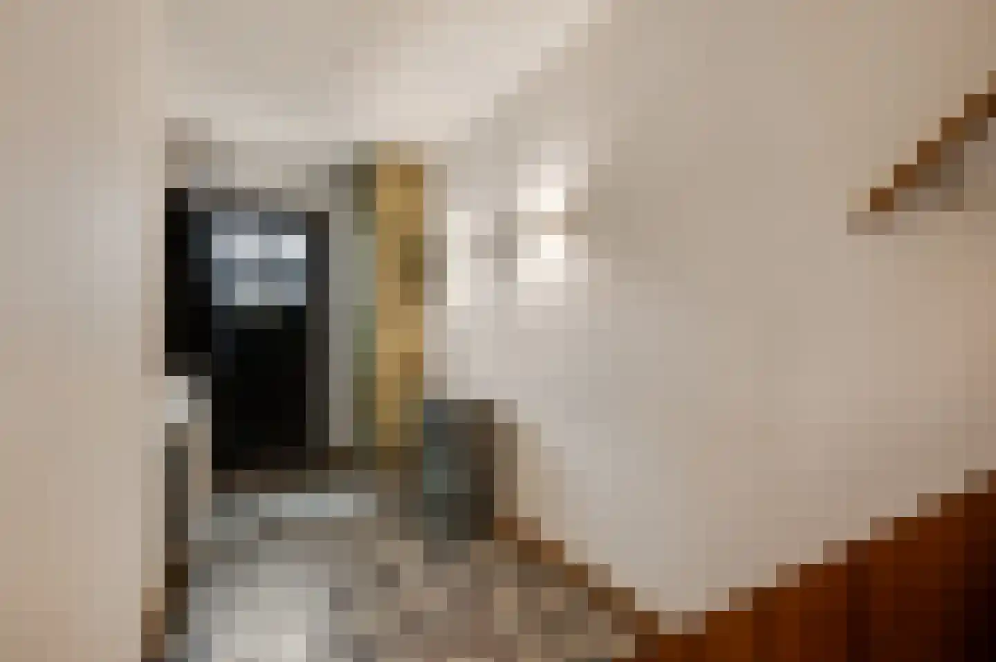 Kattenstraat 6 Maastricht thumbnail 6
