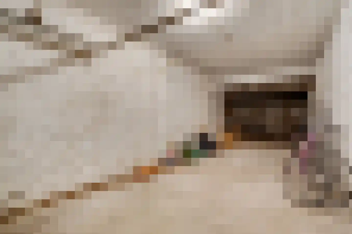 Kattenstraat 6 Maastricht thumbnail 8