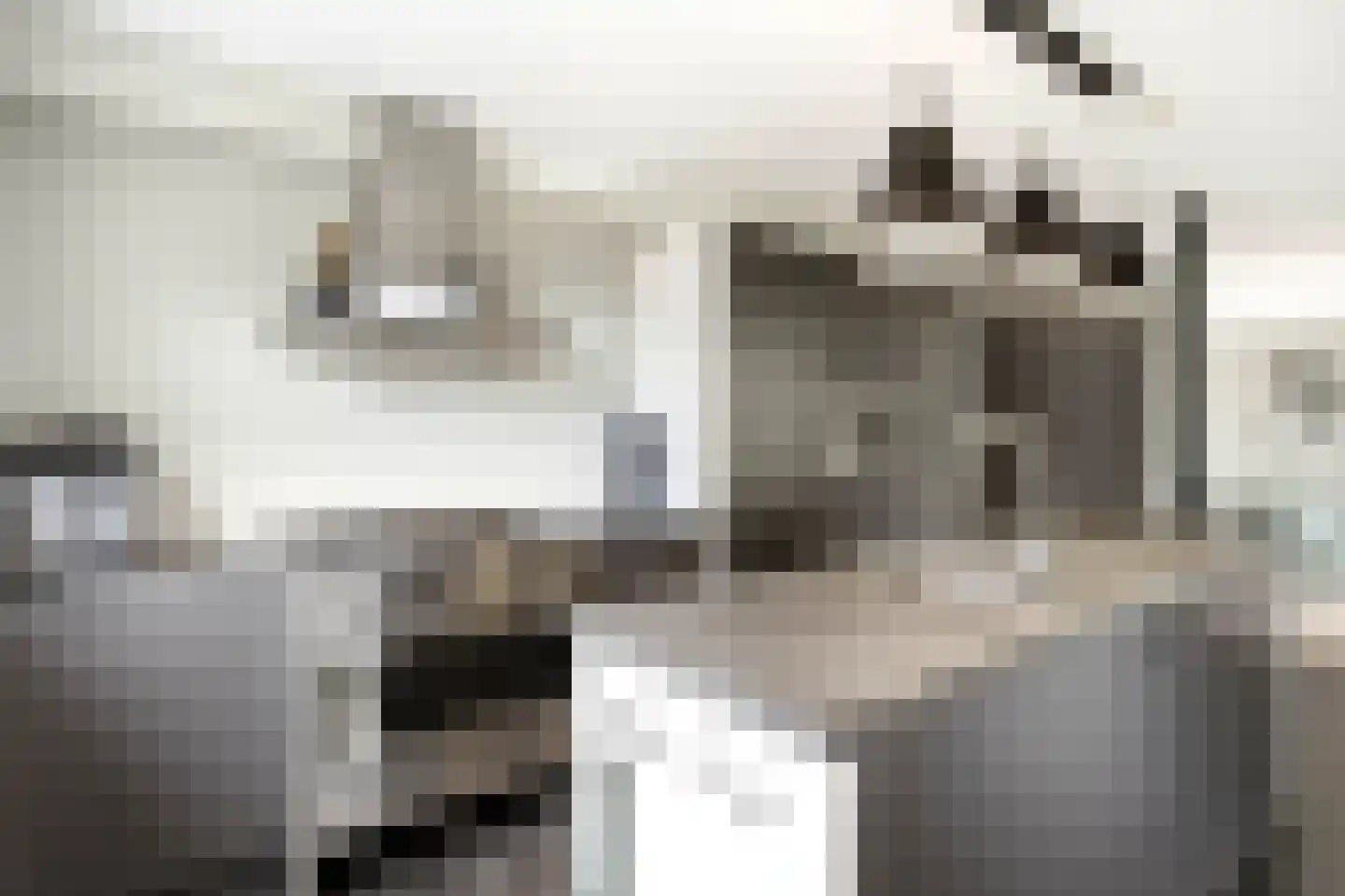 Kattenstraat 8 Wanroij thumbnail 11