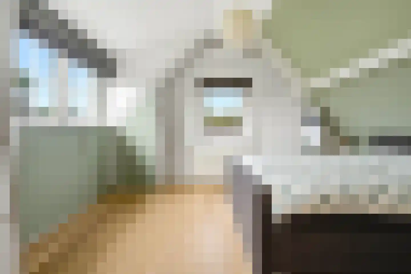 Kattenstraat 8 Wanroij thumbnail 24