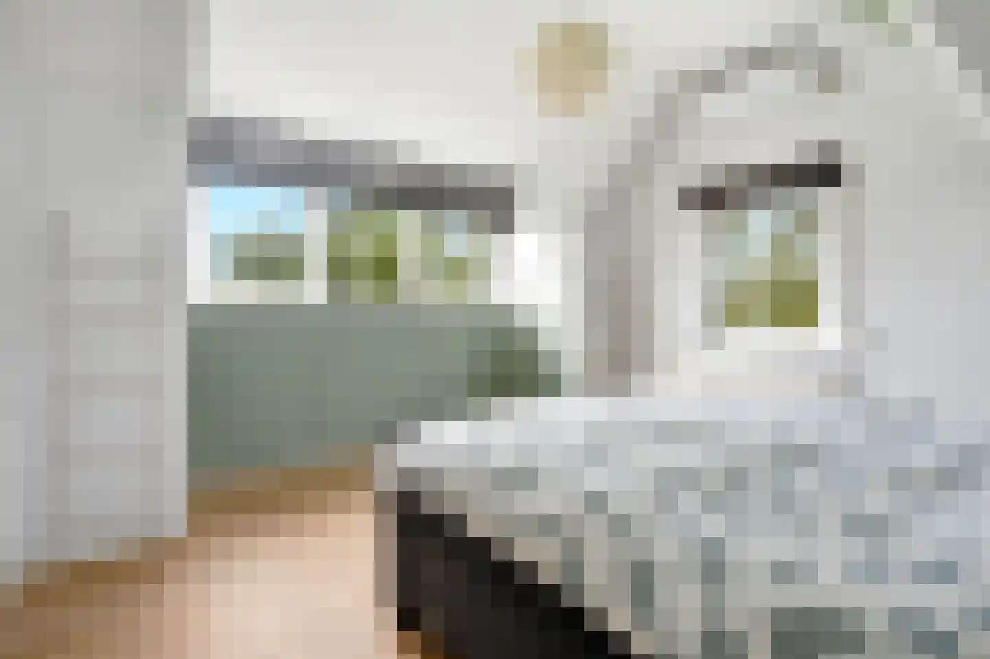 Kattenstraat 8 Wanroij thumbnail 26