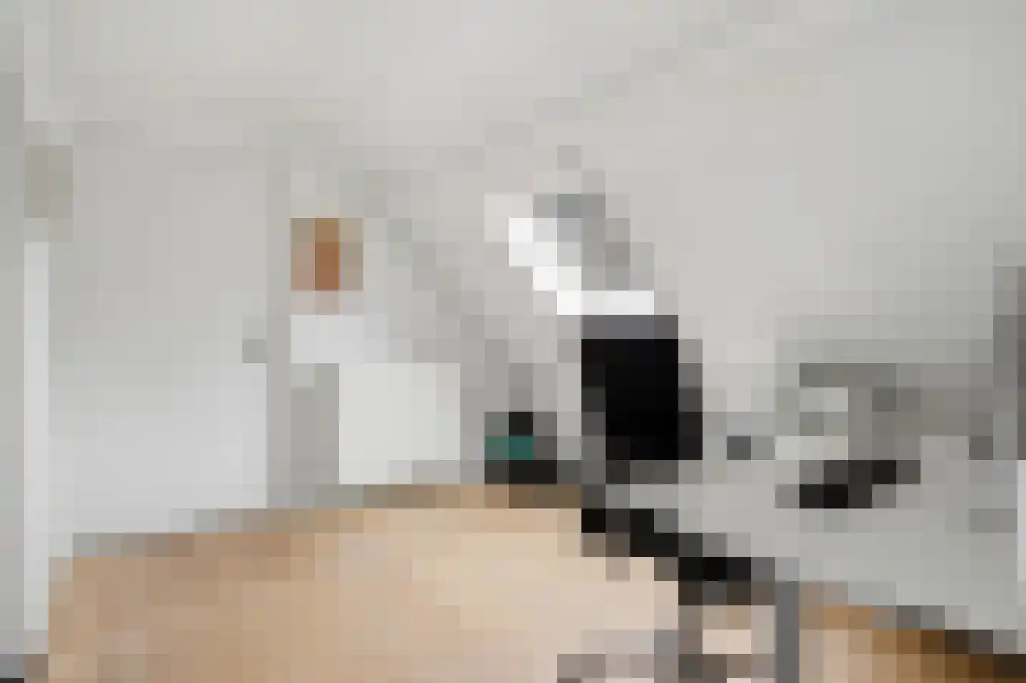 Kattenstraat 8 Wanroij thumbnail 27