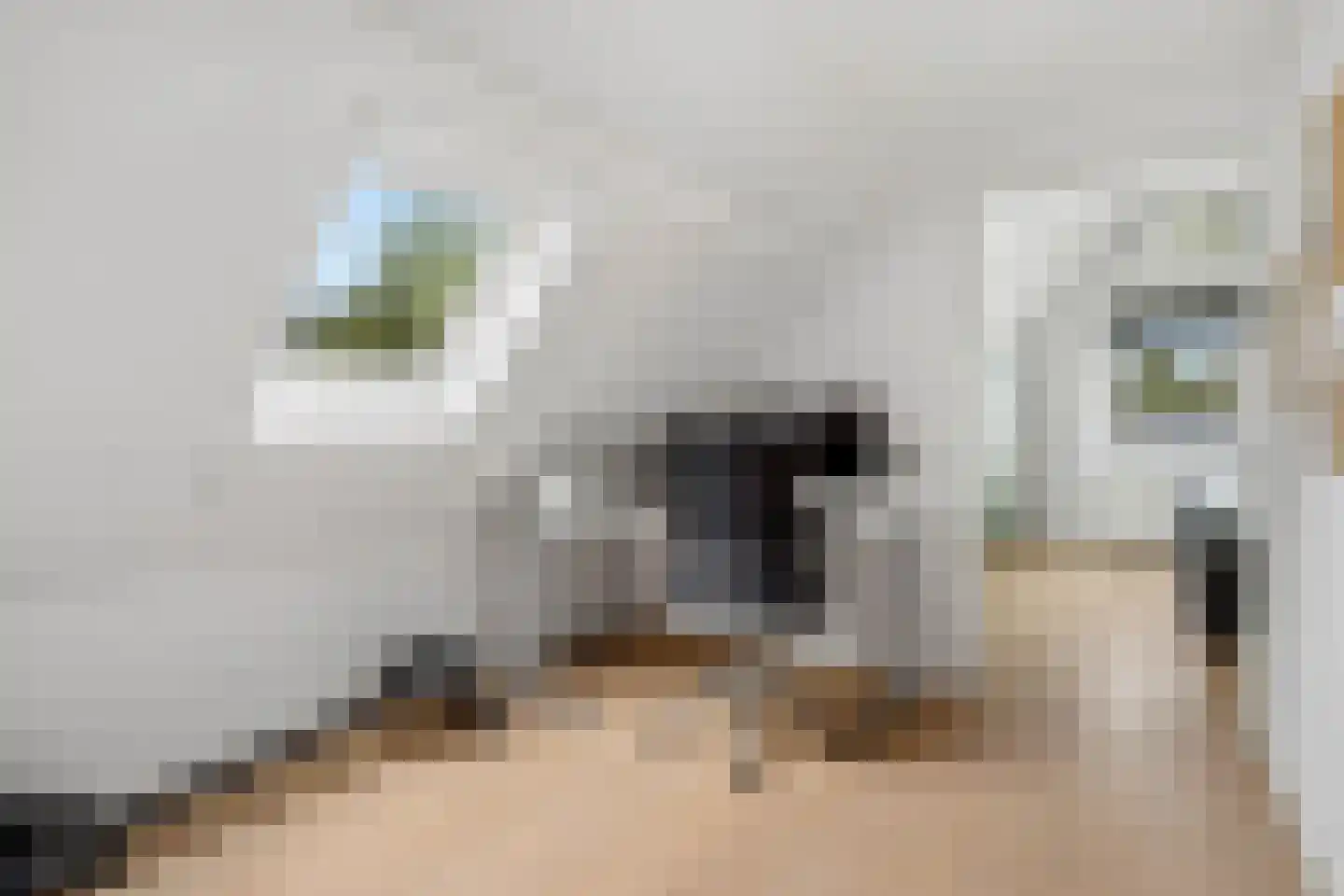 Kattenstraat 8 Wanroij thumbnail 28