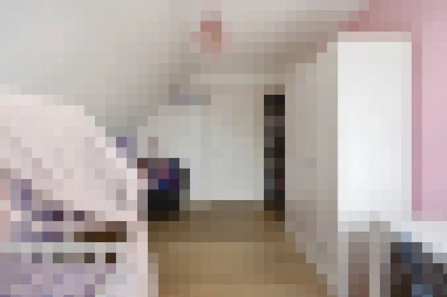 Kattenstraat 8 Wanroij thumbnail 31