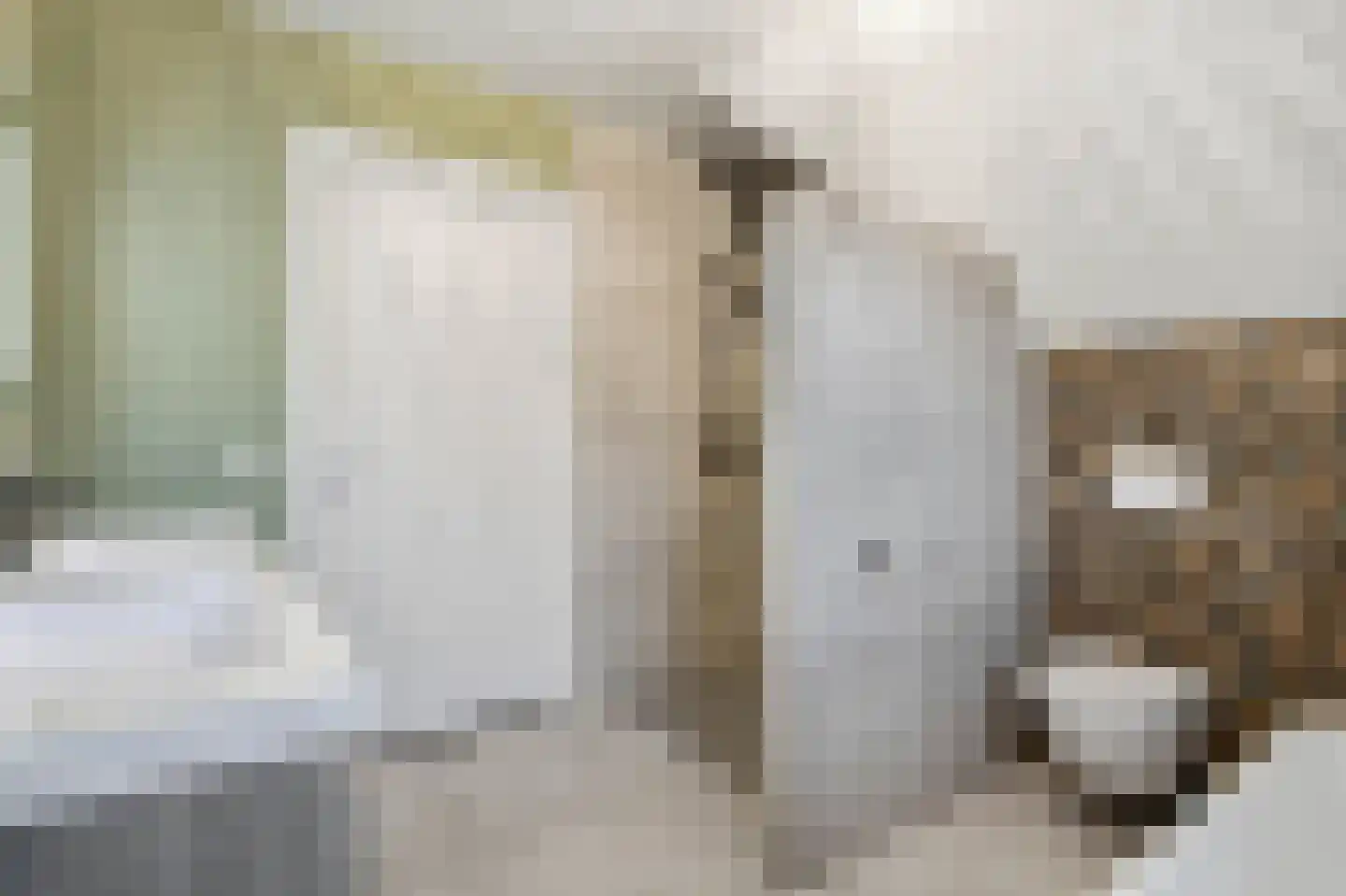 Kattenstraat 8 Wanroij thumbnail 37