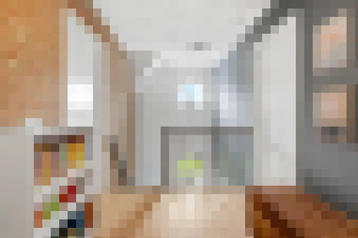 Kattenstraat 8 Wanroij thumbnail 39