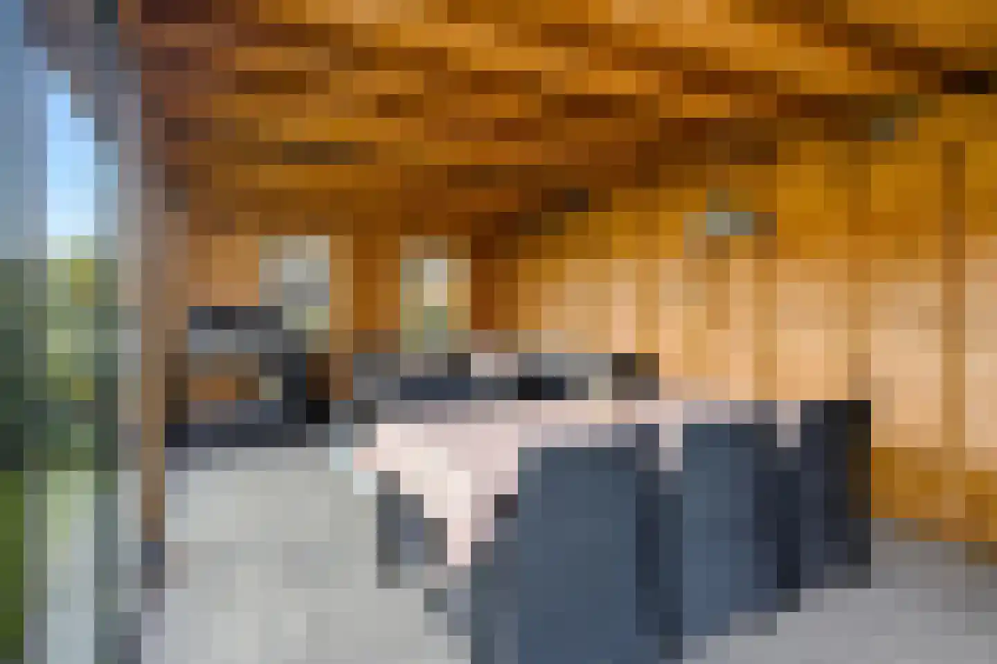 Kattenstraat 8 Wanroij thumbnail 44